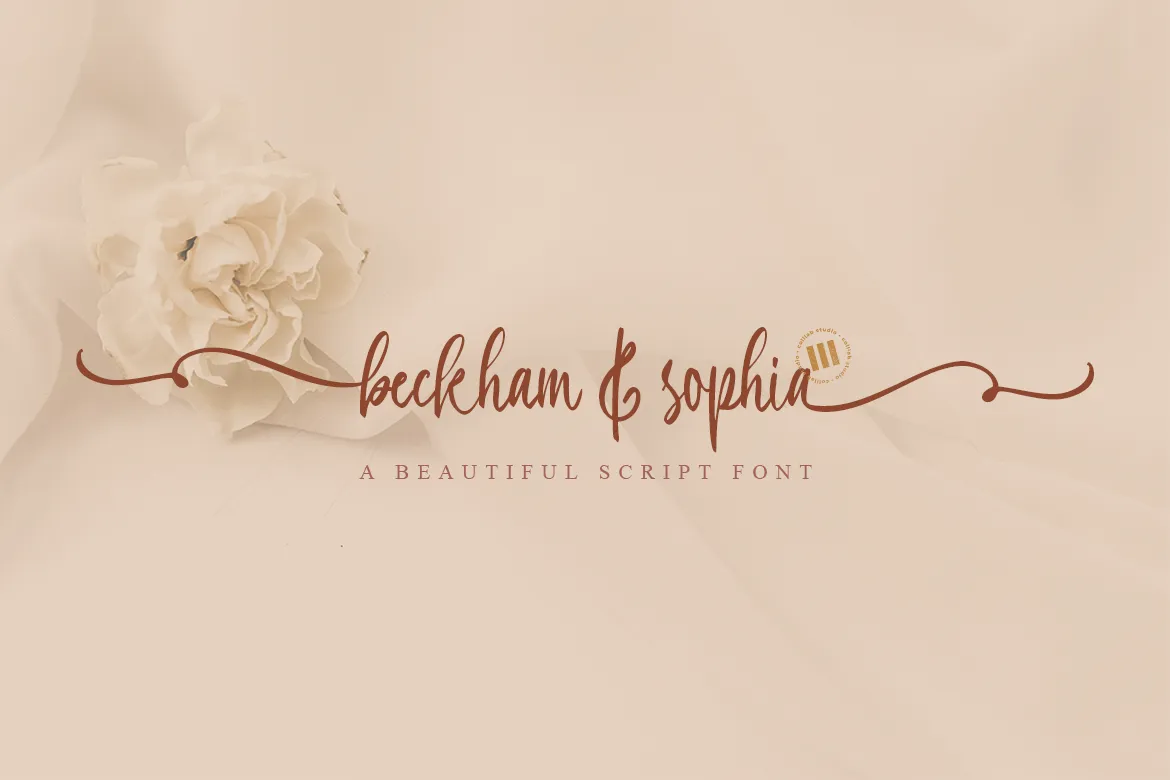 Beckham Sophia 1