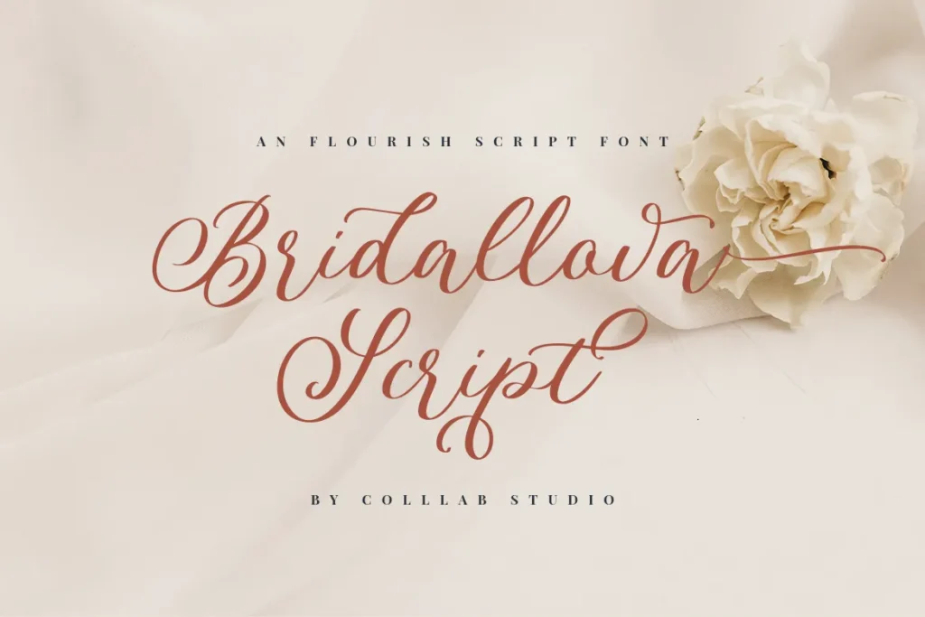 Bridallova Script Colllab Studio 1