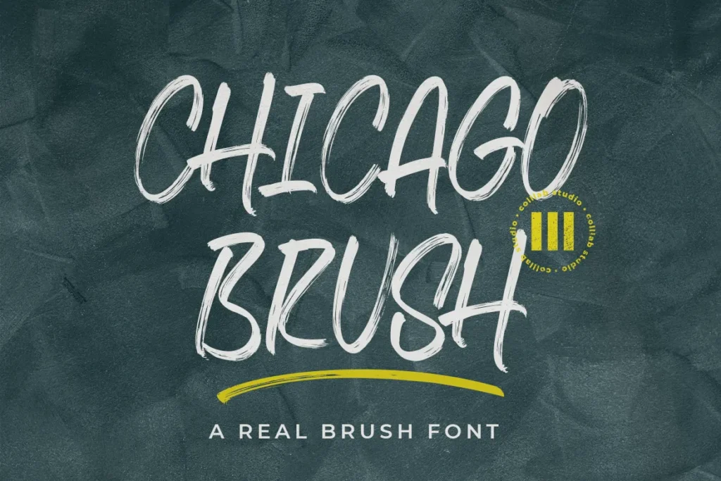 Chicago Brush Colllab Studio 1