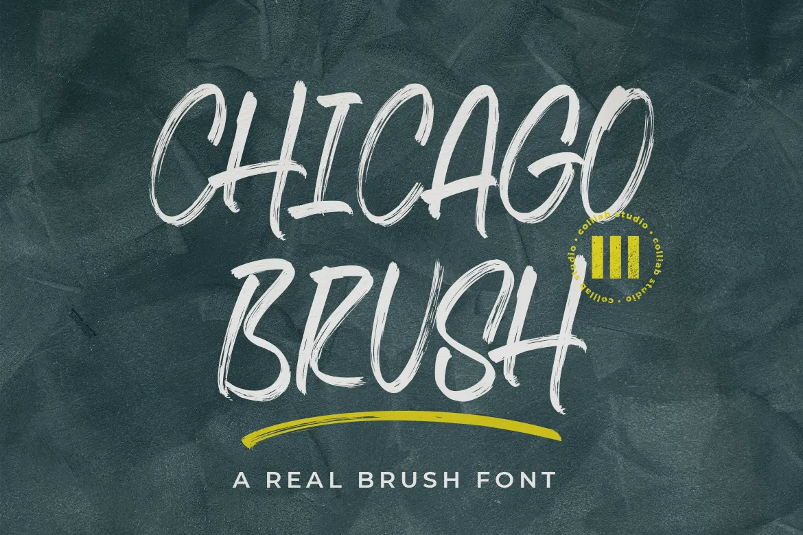 Chicago Brush Colllab Studio 1