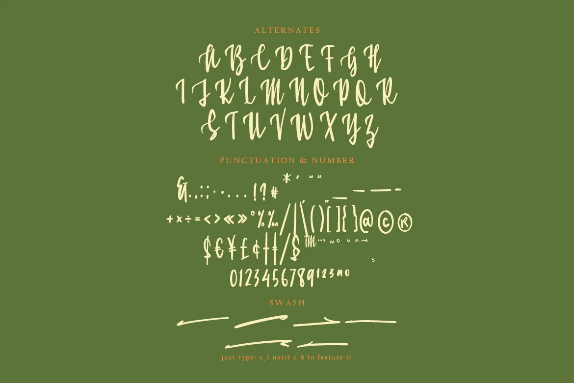 Roselyn Handwriting 11