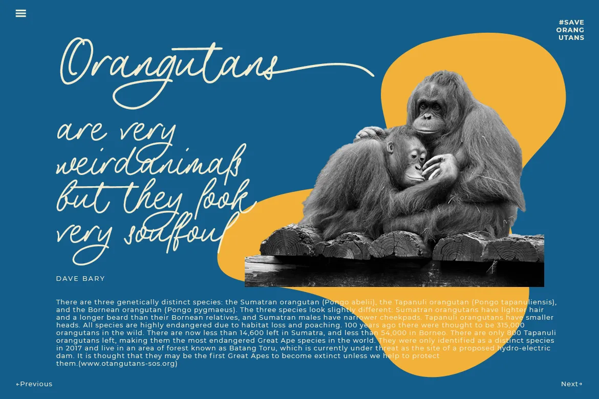 The Philosopher Script 4