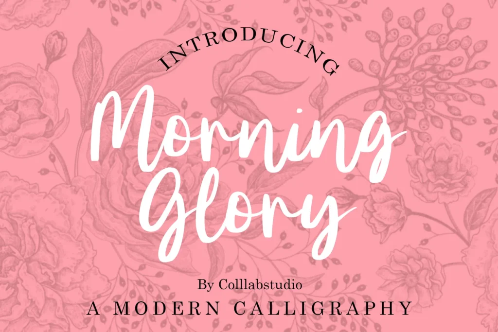 Morning Glory 1